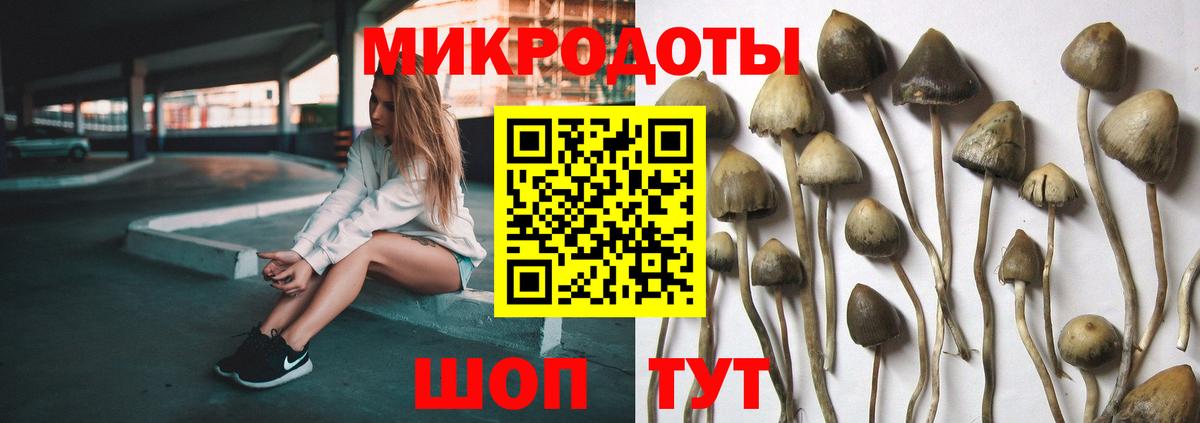 Псилоцибиновые грибы мицелий  Вход с VPN  Кандалакша  Галлюциногенные грибы Cubensis 